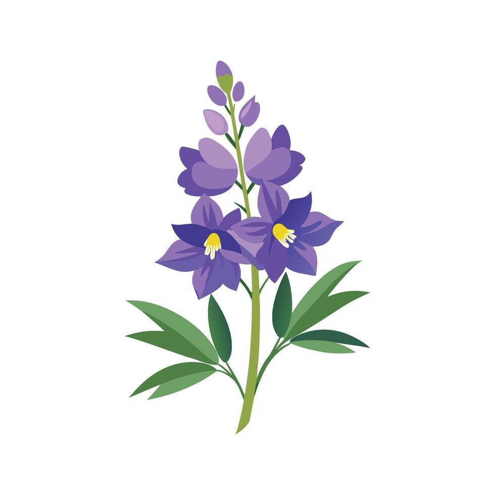 Beautiful Larkspur Plant Illustration vector