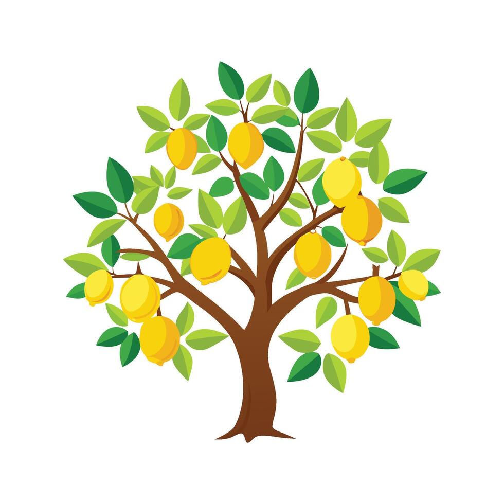 Lemon Tree Illustration Art Design vector