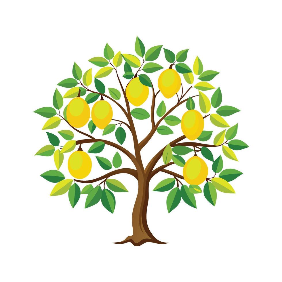 Charming Citrus Limon Tree Design vector