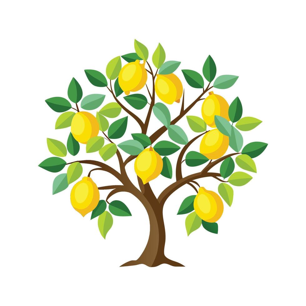Vibrant Citrus Limon Tree Art vector