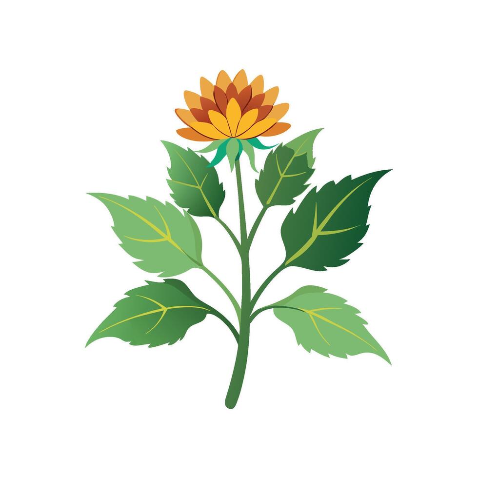 Stylish Ligularia Plant Design vector