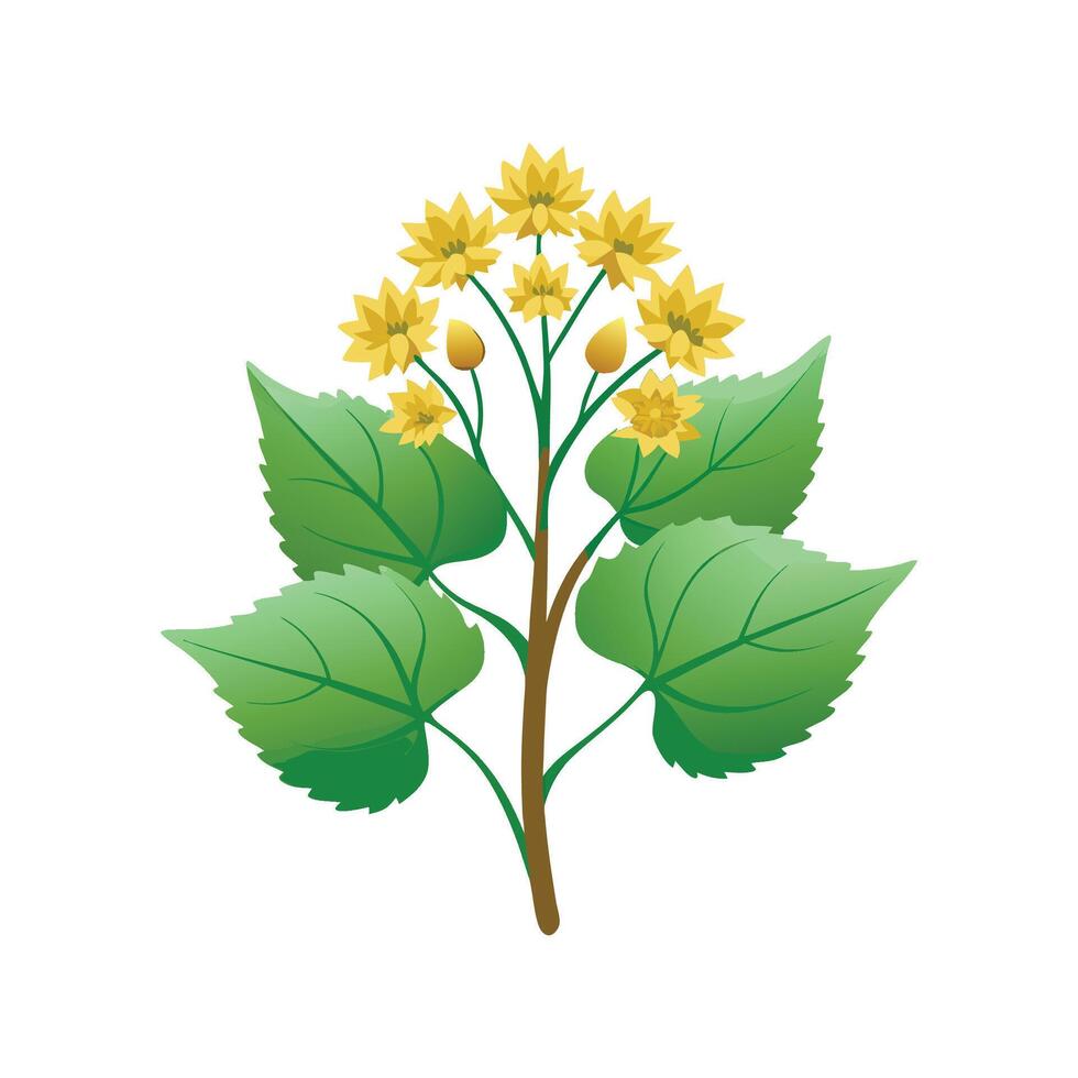 Ligularia Plant Creative Design vector