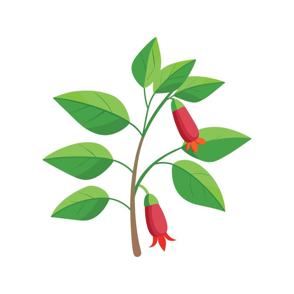 Charming Lipstick Plant Design vector