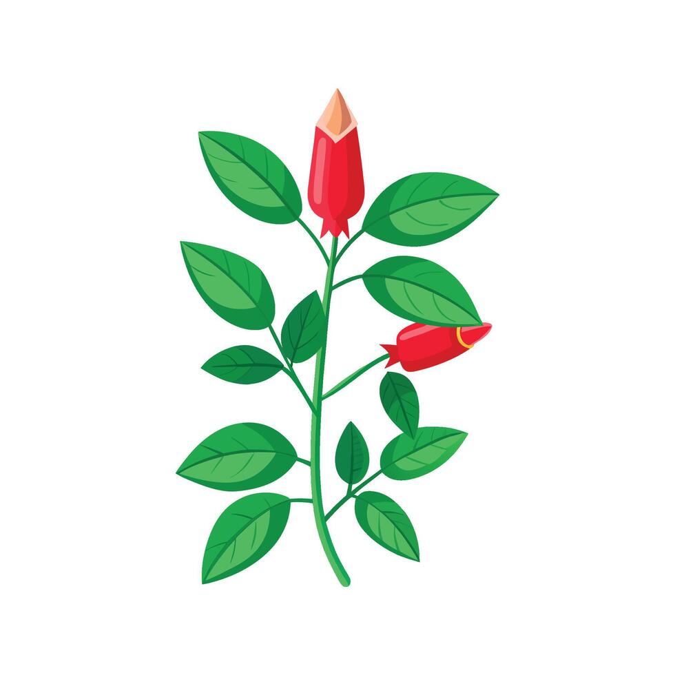 Elegant Lipstick Plant for Colorful Interiors vector
