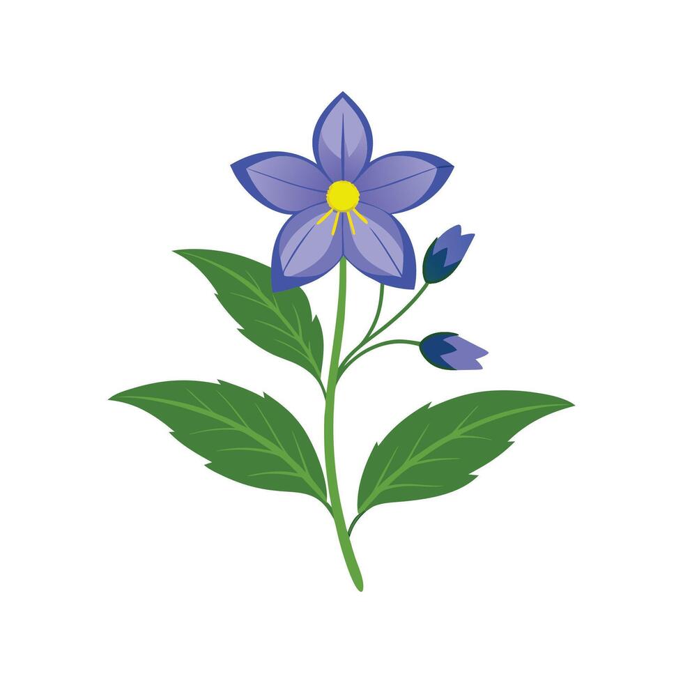 Lobelia Flower Stylish Design vector