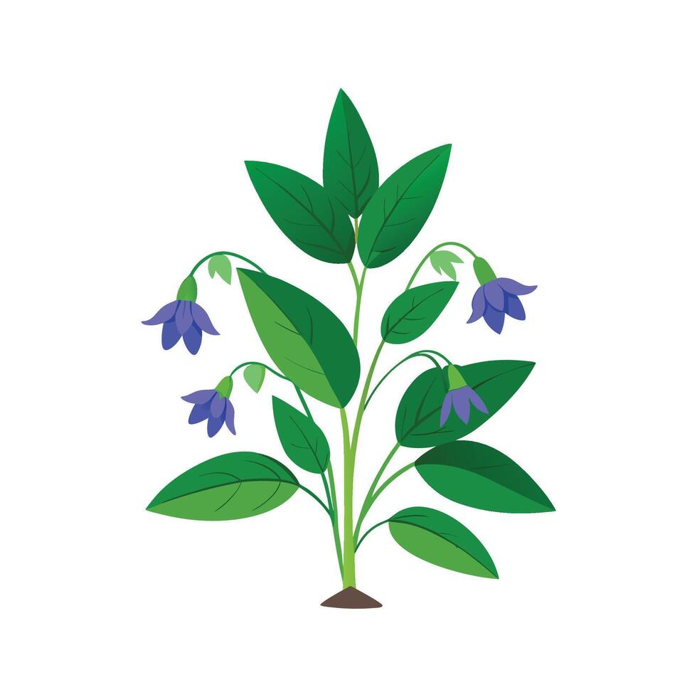 Lobelia Flower Artistic Design vector