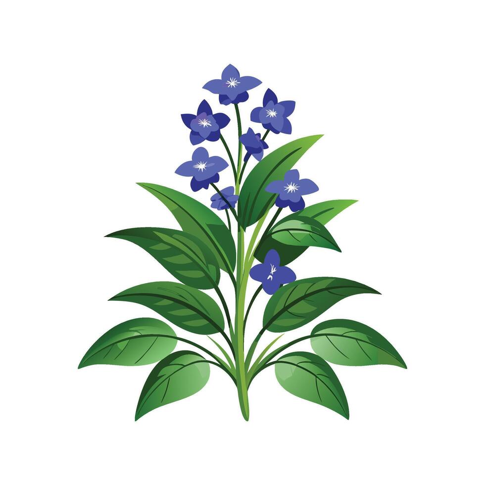 Elegant Lobelia Plant Design vector