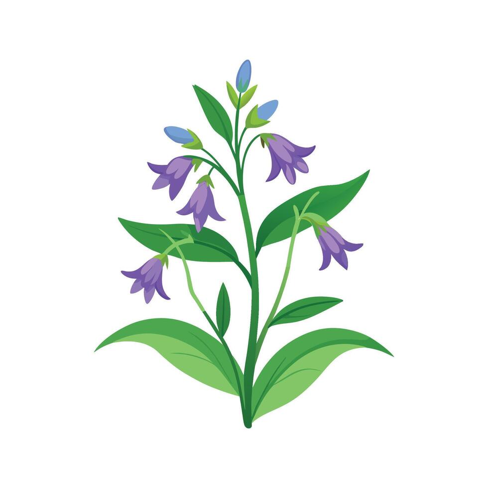 Elegant Lobelia Erinus Plant Artwork vector