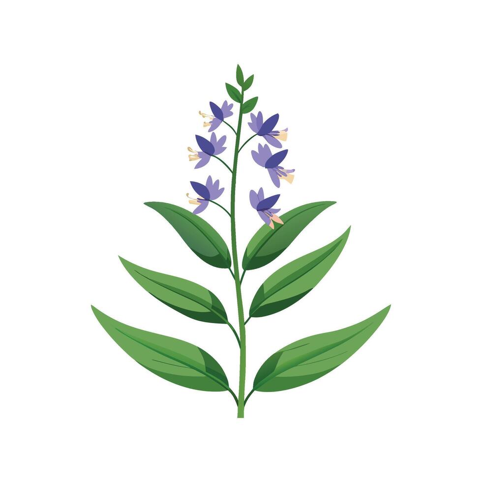 Creative Lobelia Erinus Design vector