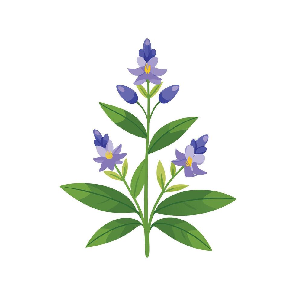 Elegant Lobelia Erinus Plant Art vector
