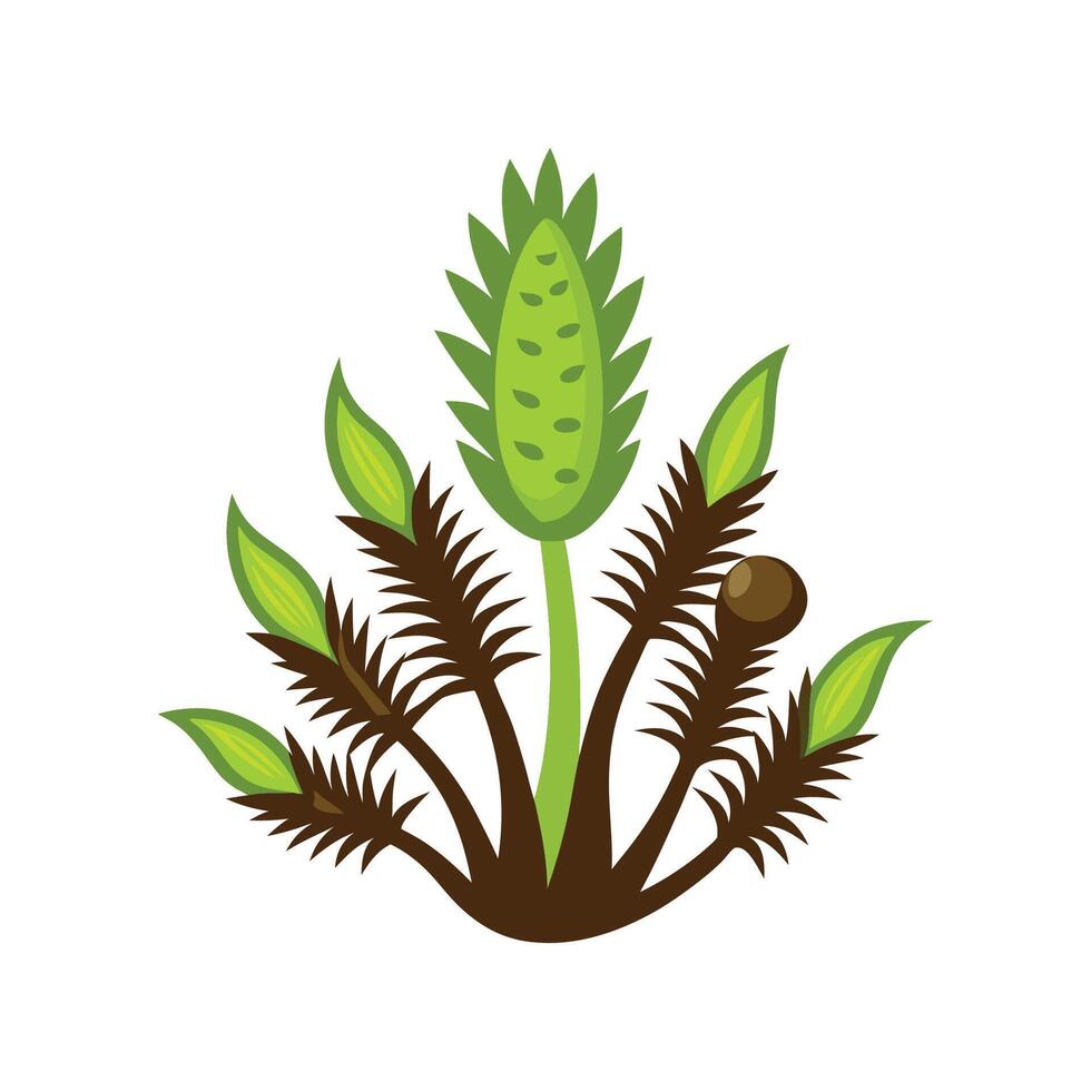 Elegant Lycopodium Plant Design vector