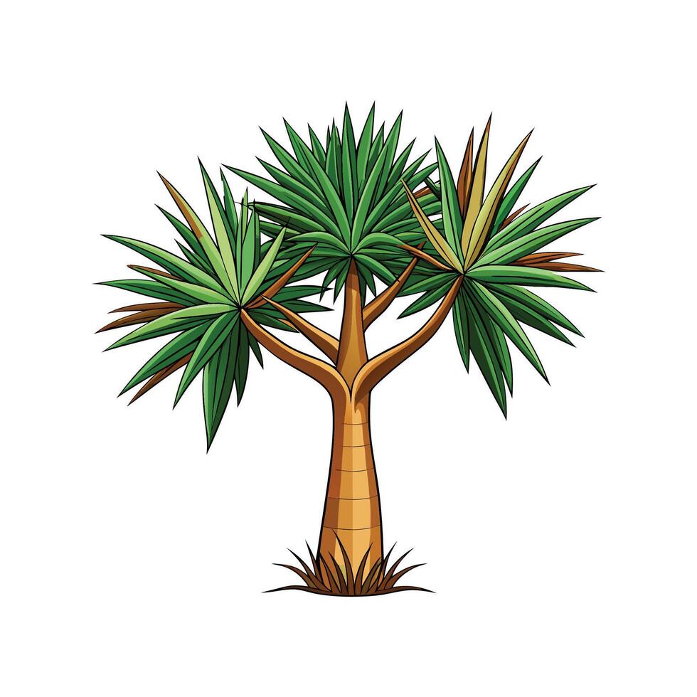 Elegant Madagascar Dragon Tree for Homes vector