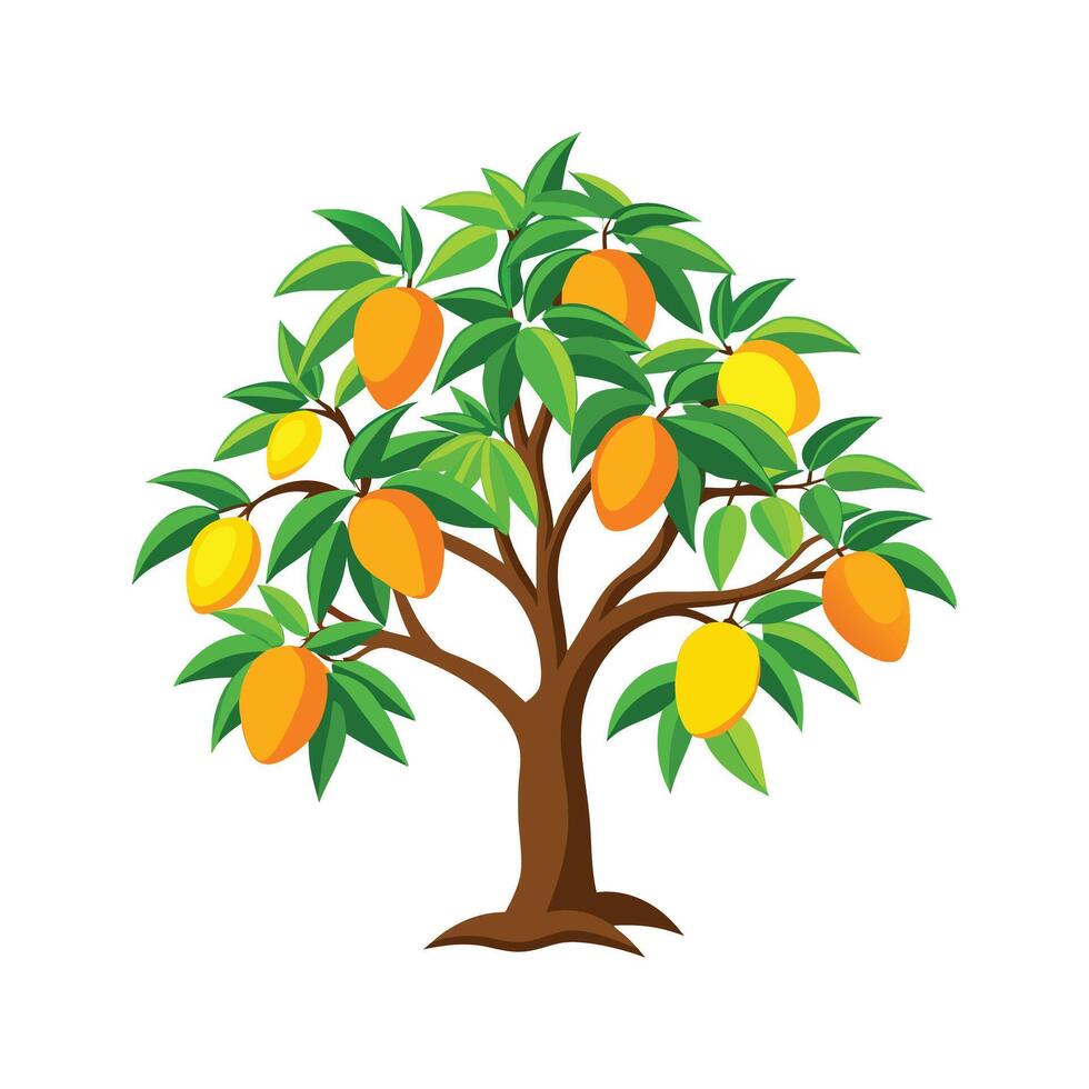 Nutritious Mango Tree for Tropical Gardens vector