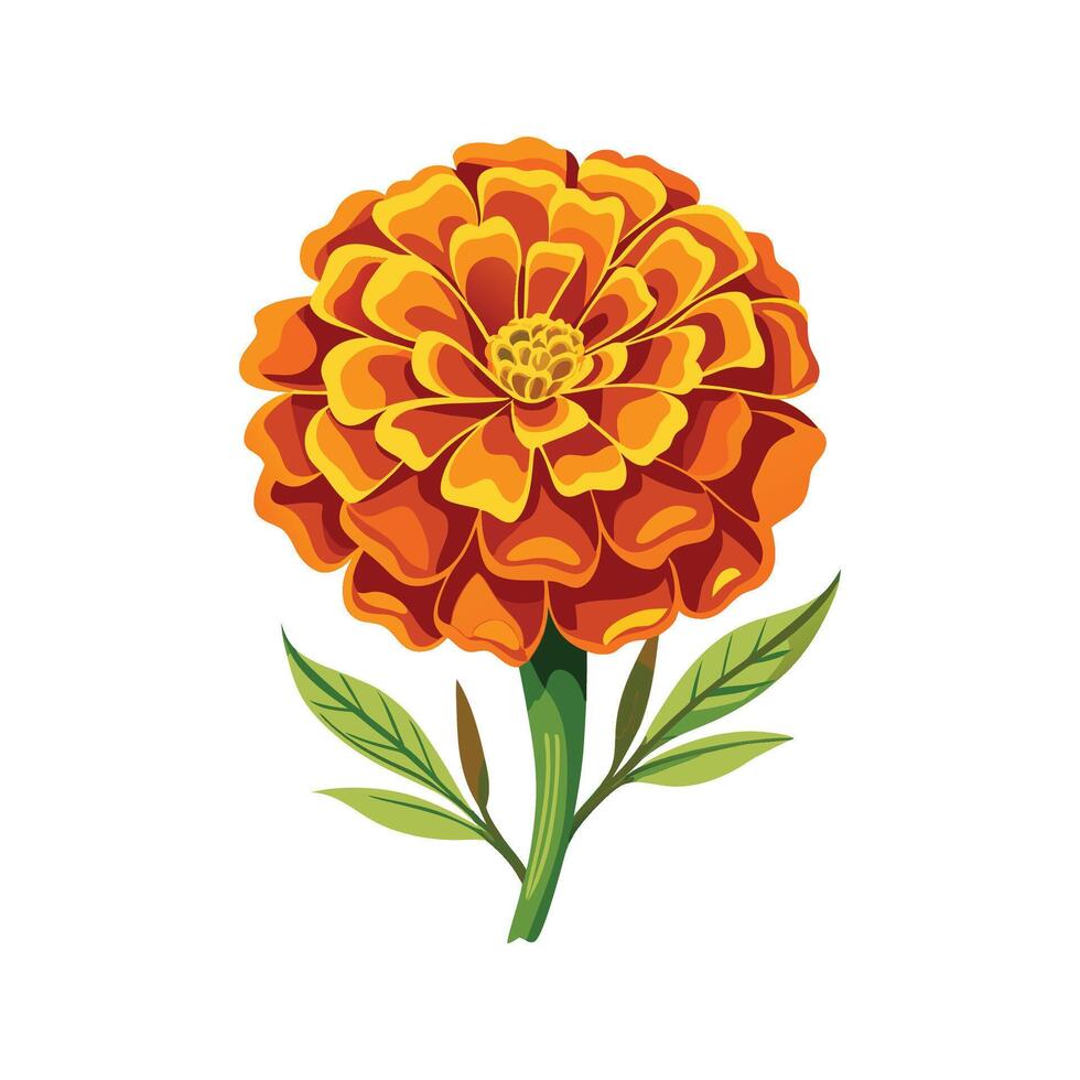 Unique Marigold Flower Artwork vector