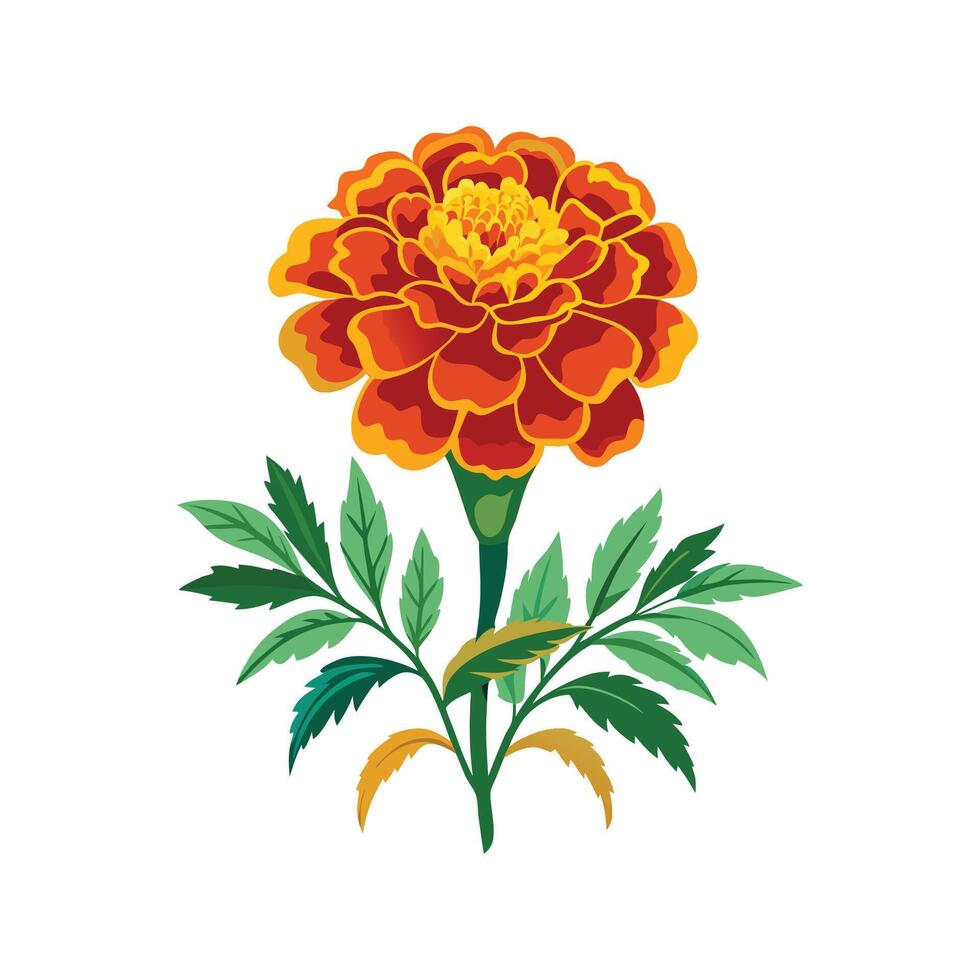 Marigold Plant Unique Art vector