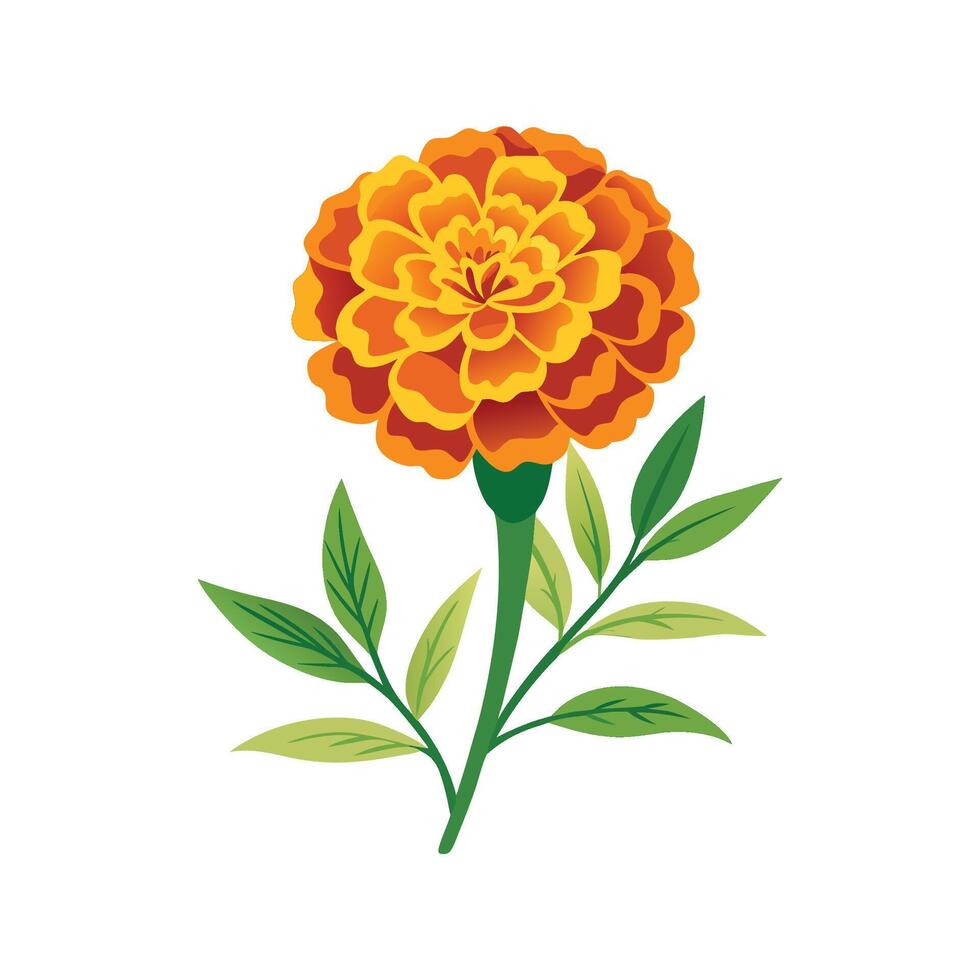Stylish Marigold Plant Artwork vector
