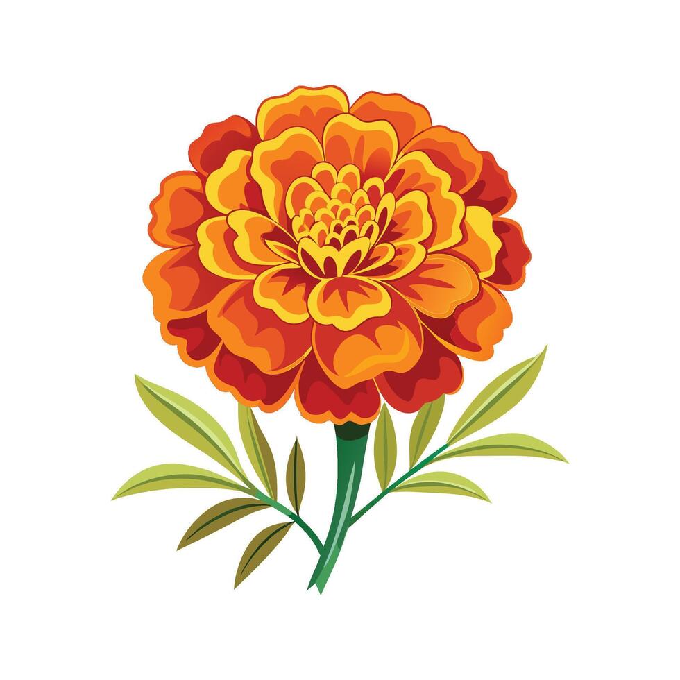 Elegant Marigold Flower Artwork vector