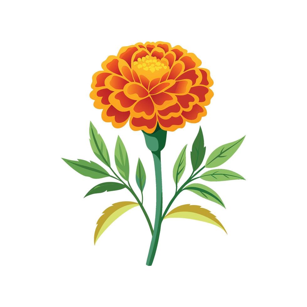 Elegant Marigold Plant Design vector