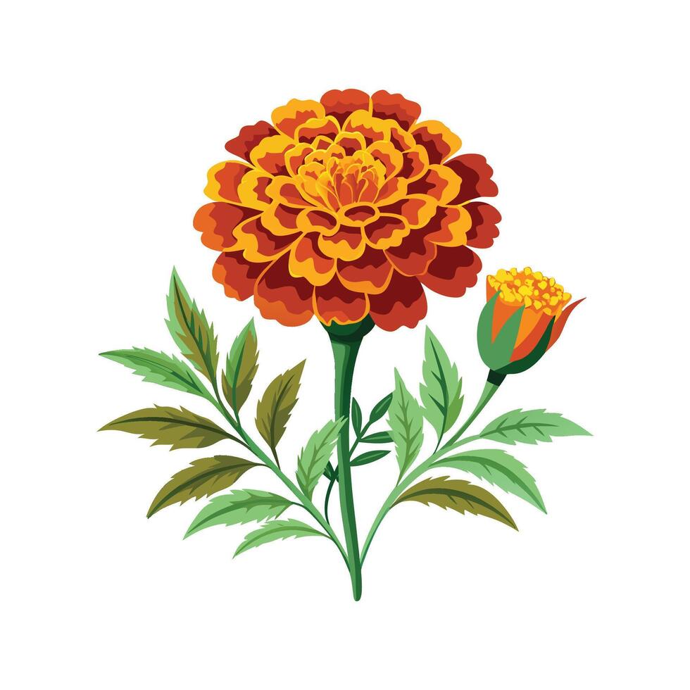Marigold Plant Artistic Design vector