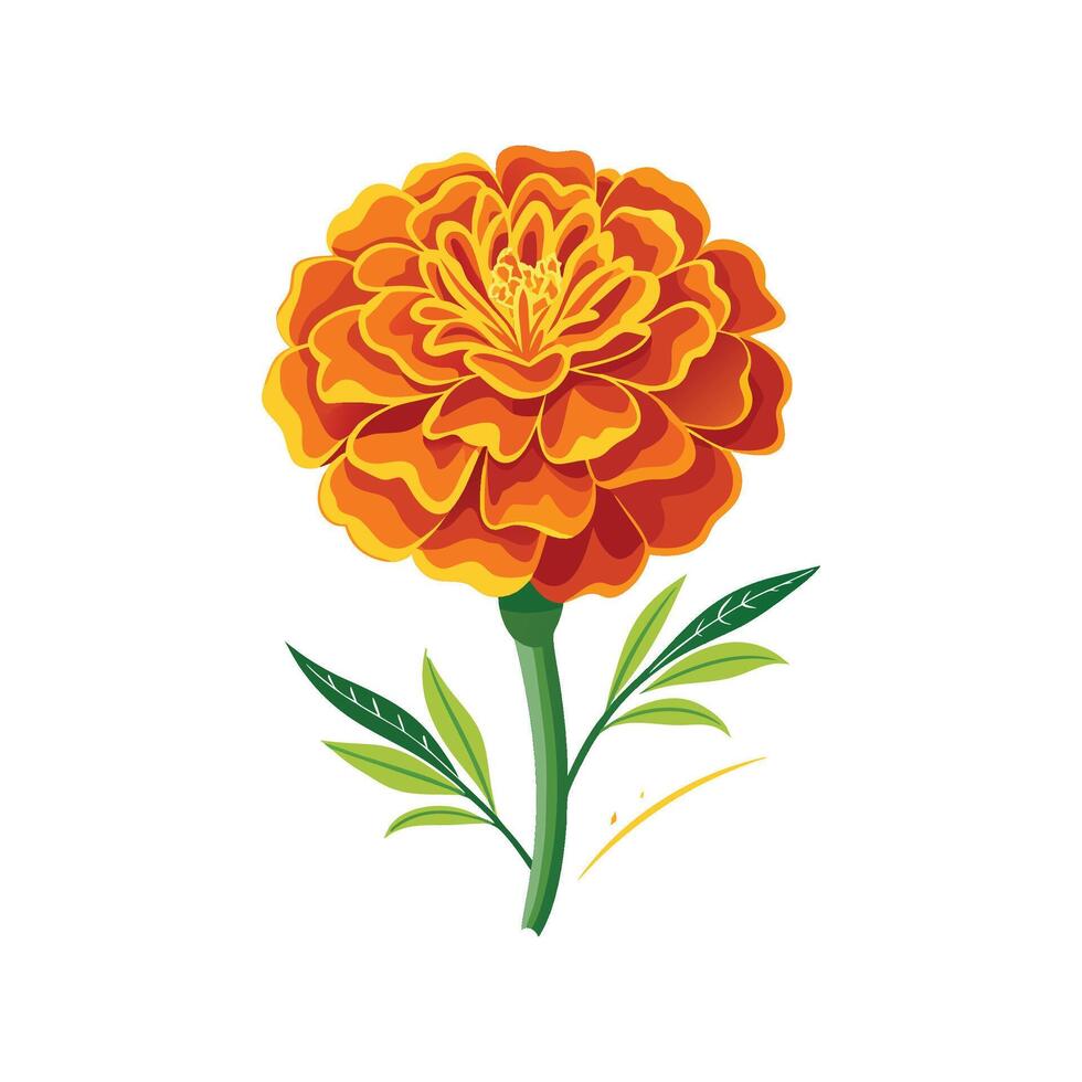 Creative Tagetes Marigold Flower Art vector