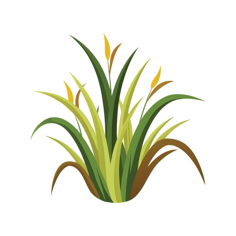 Unique Monkey Grass Artwork vector
