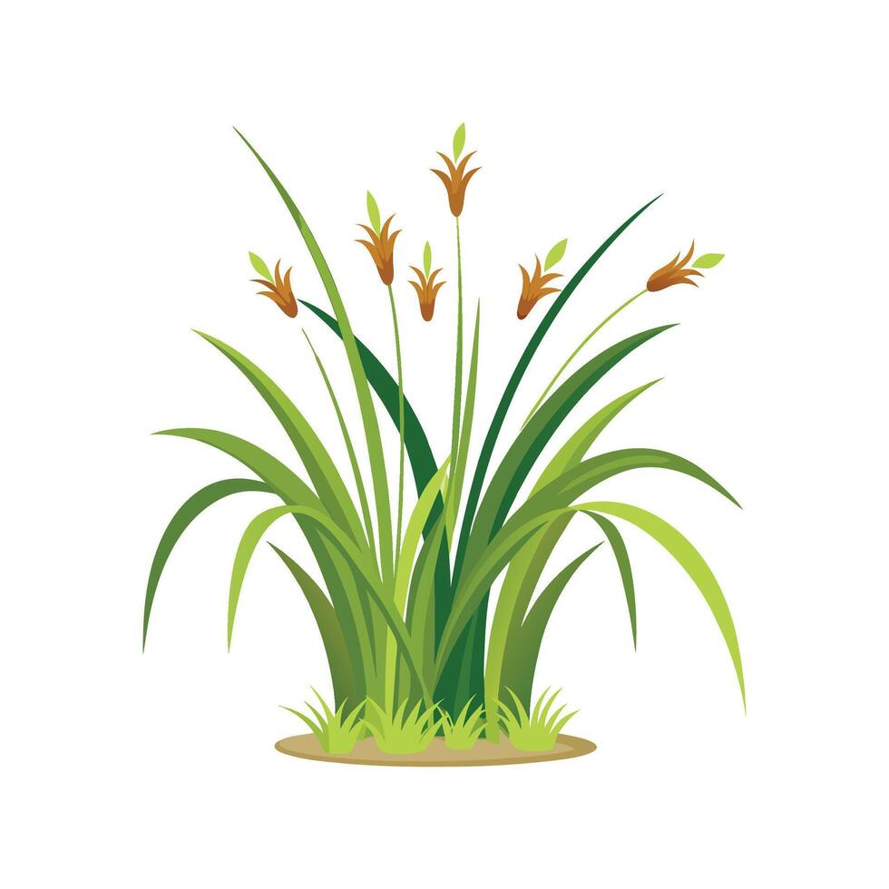 Monkey Grass Creative Artwork vector