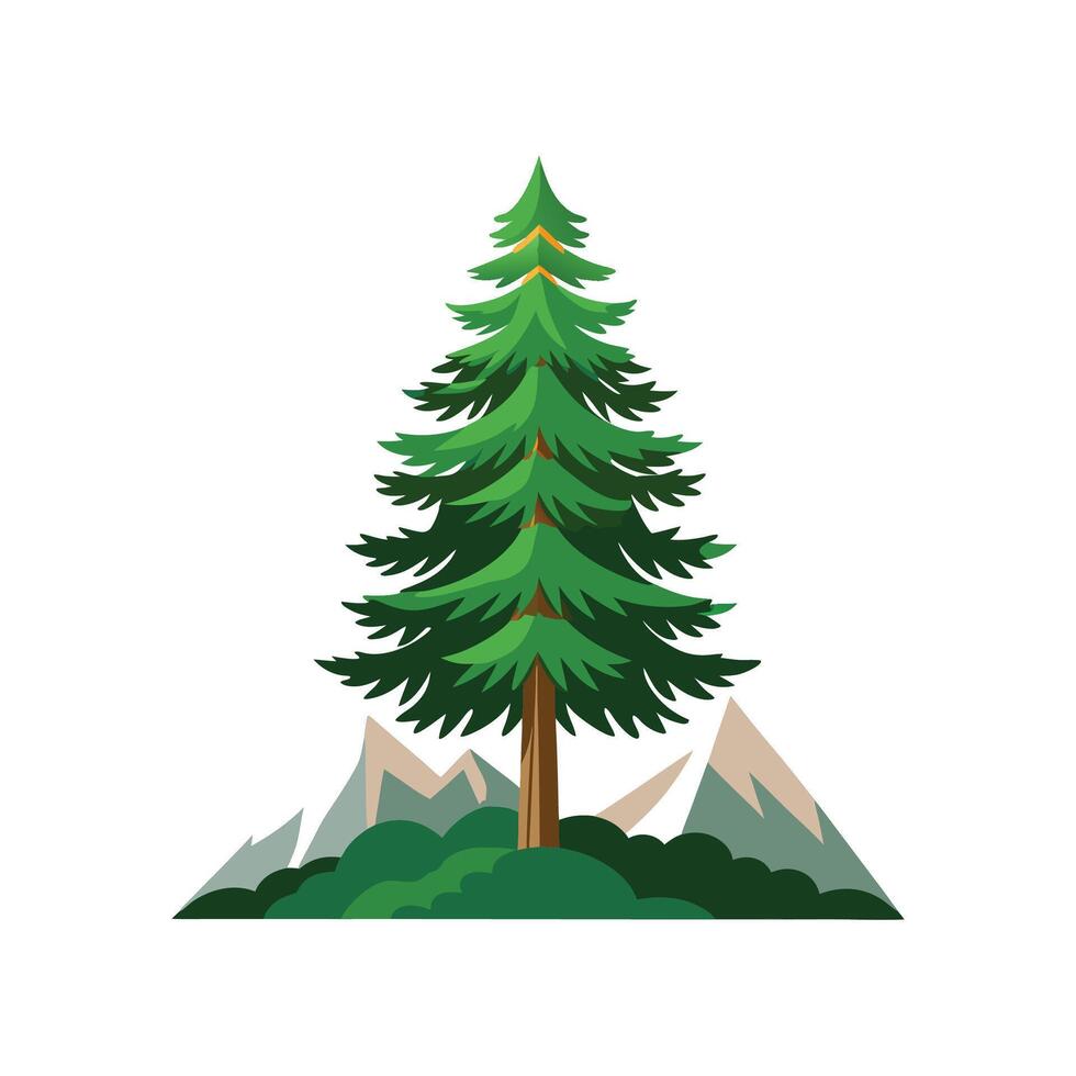 Stylish Mountain Pine Pinus Mugo vector