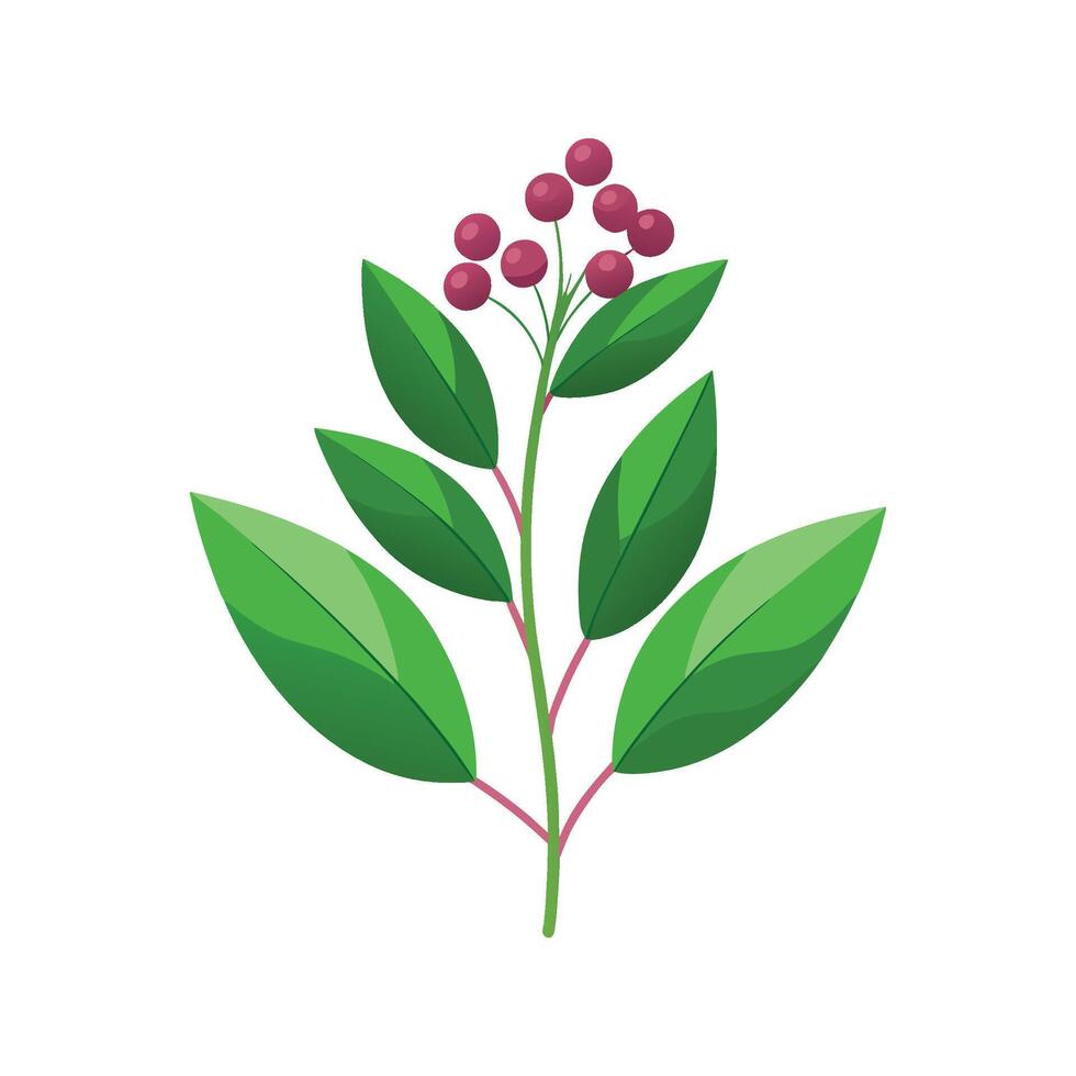 Elegant Mukdenia Plant Artwork vector