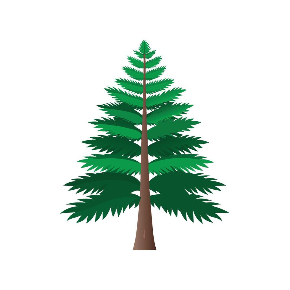 Nutritious Norfolk Island Pine for Healthy Living vector