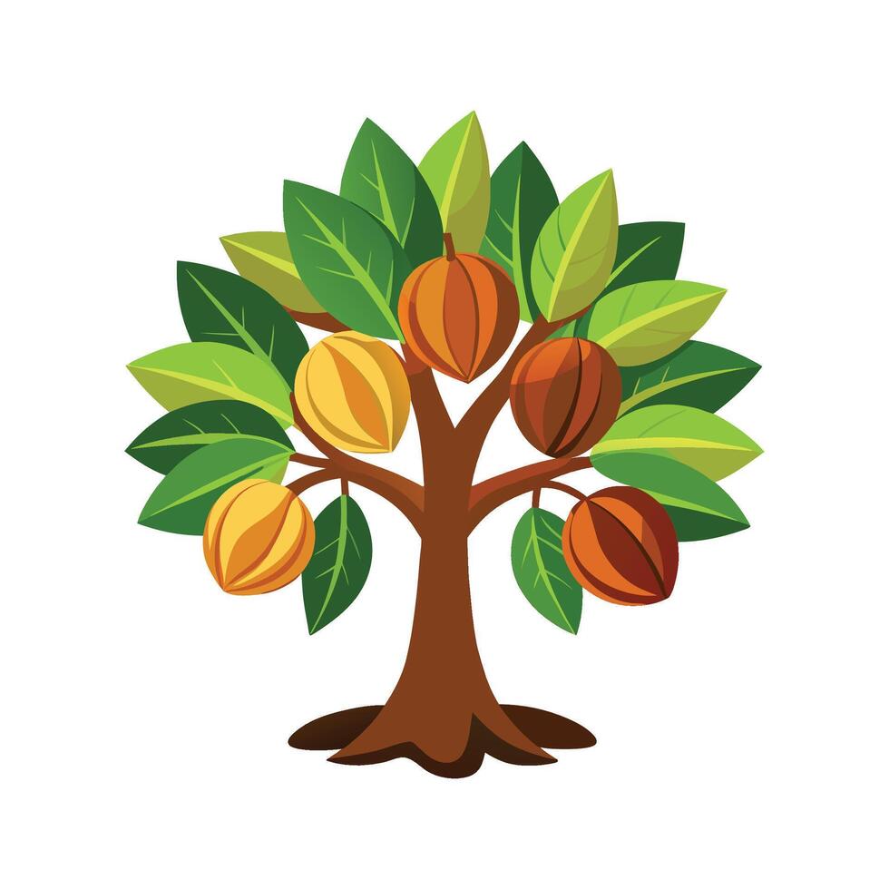Stylish Nutmeg Tree Design vector
