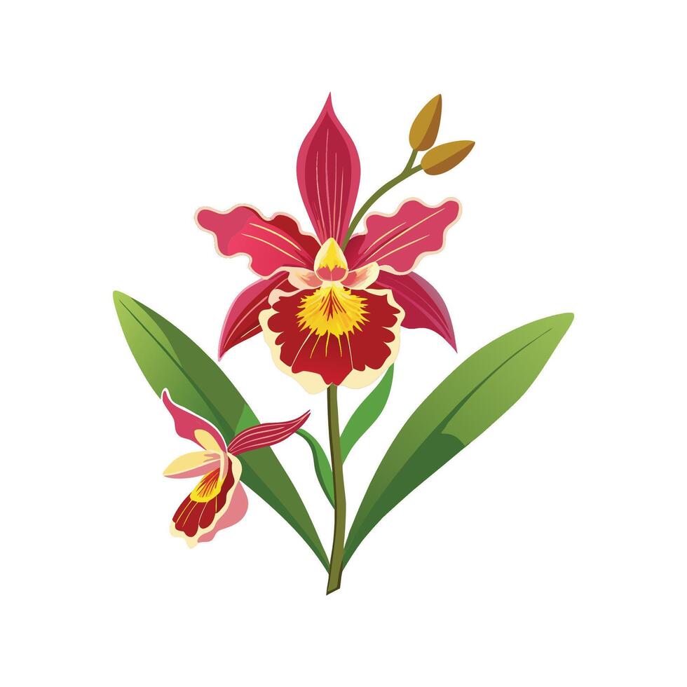 Oncidium Orchid Artistic Design vector