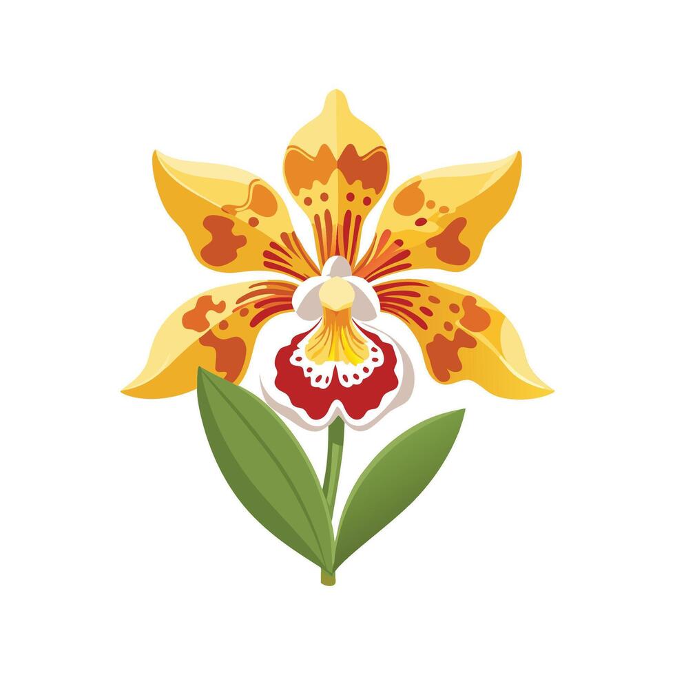 Unique Oncidium Orchid Artwork vector
