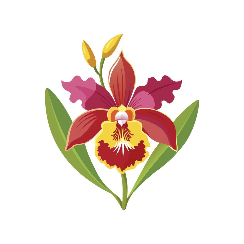 Stylish Oncidium Orchid Artwork vector