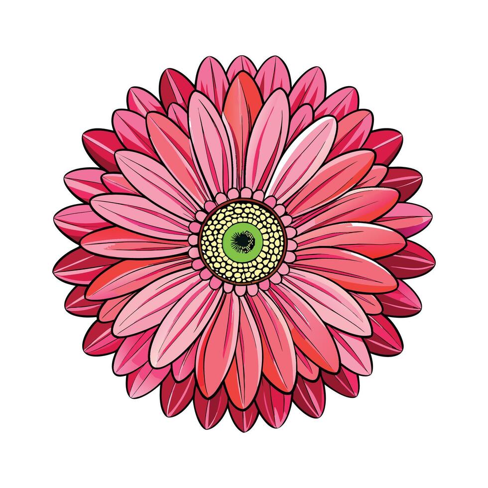 Creative Opening Gerbera Flower Art vector