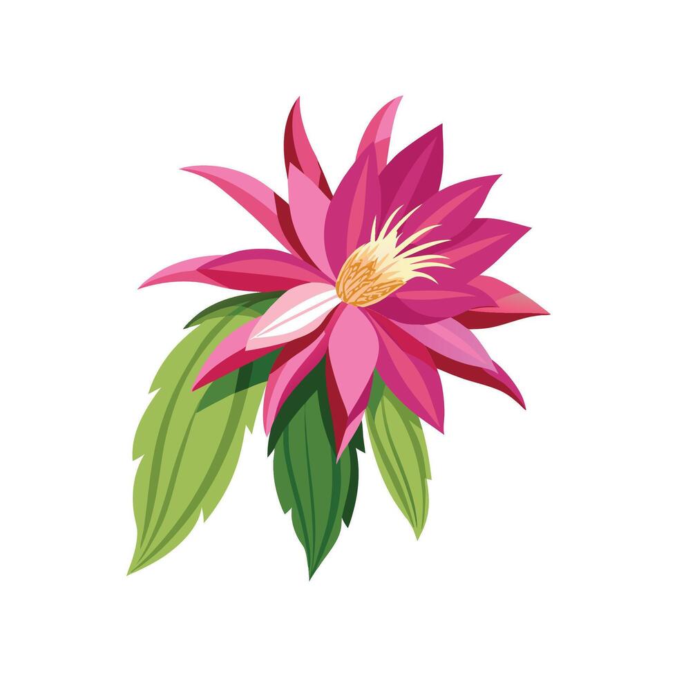 Creative Epiphyllum Orchid Cactus Artwork vector
