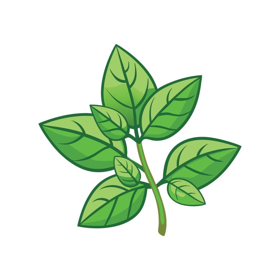 Stylish Oregano Plant Artwork vector