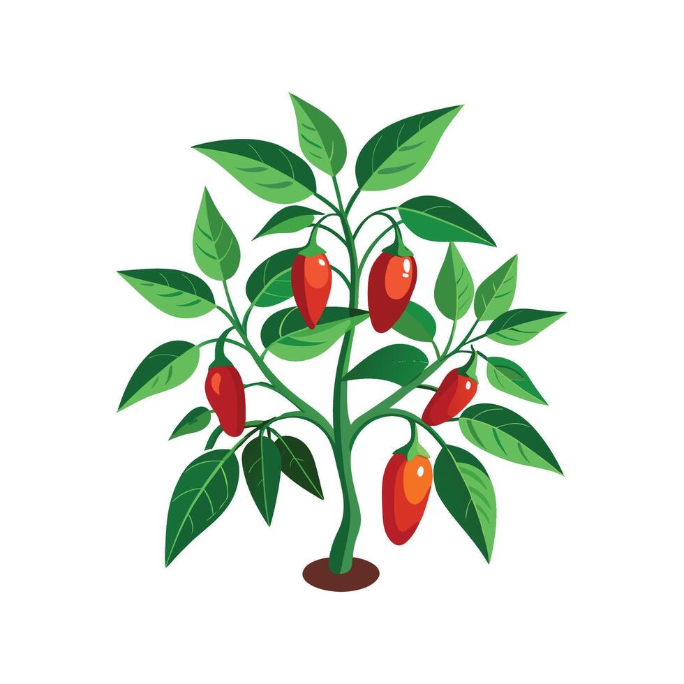 Ornamental Pepper Unique Artwork vector
