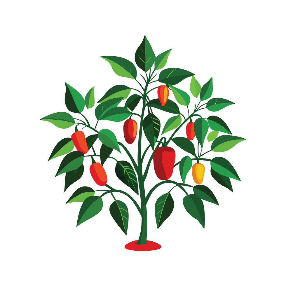 Stylish Capsicum Annuum Artwork vector