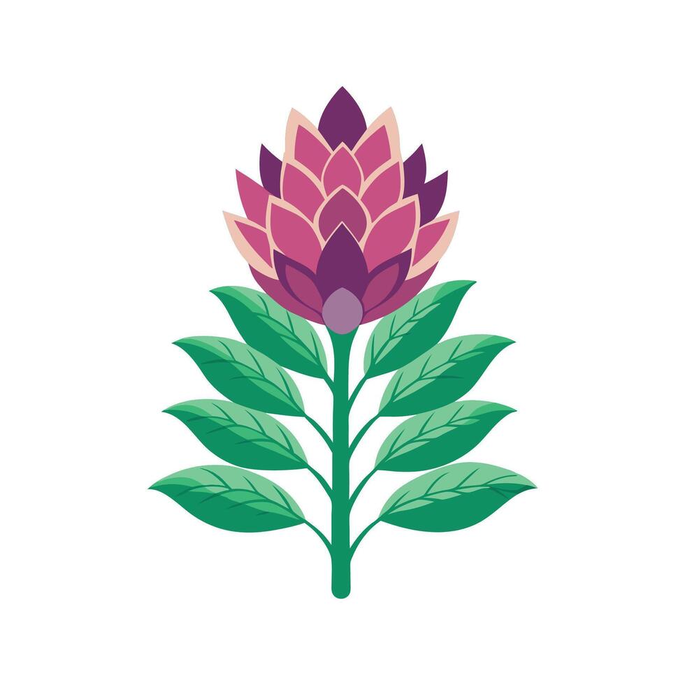 Stylish Orpine Plant Artwork vector