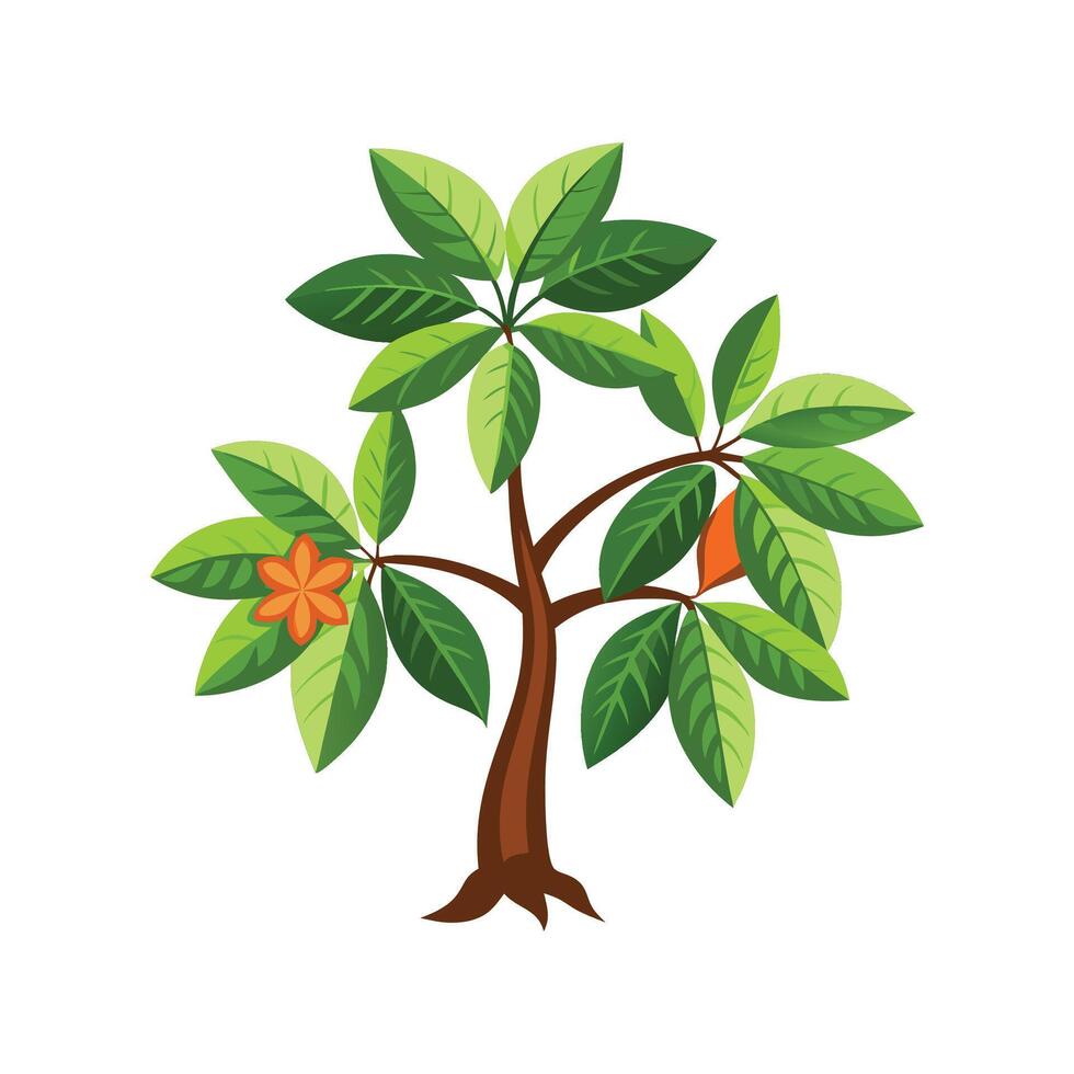 Pachira Aquatica Artistic Design vector