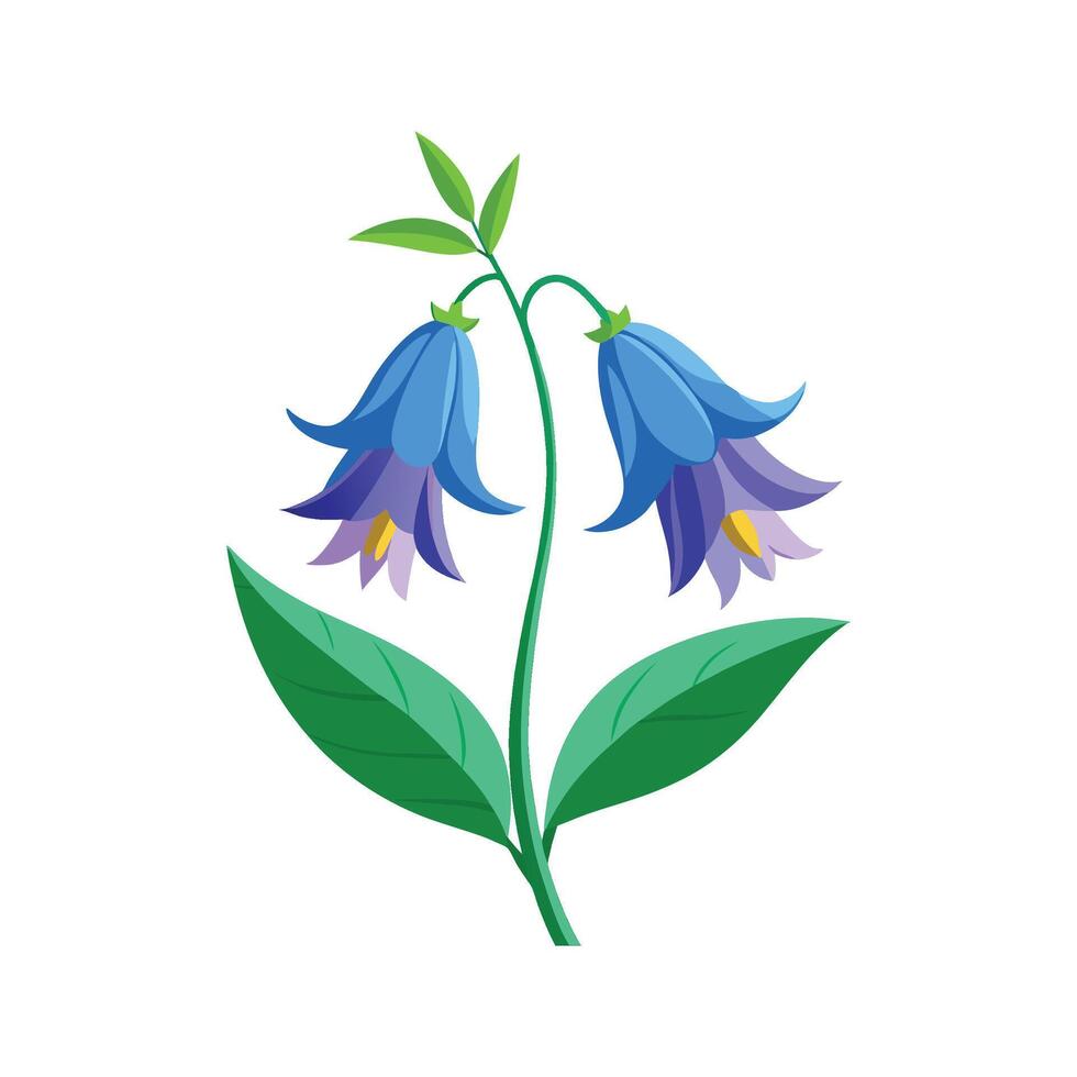 Creative Pacific Blue Bell Corydalis vector