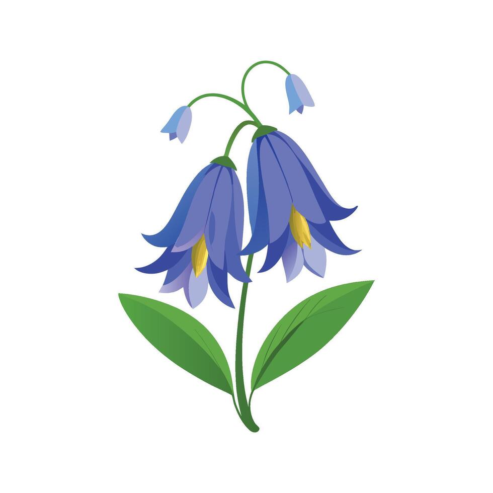 Elegant Corydalis Pacific Blue Bell vector