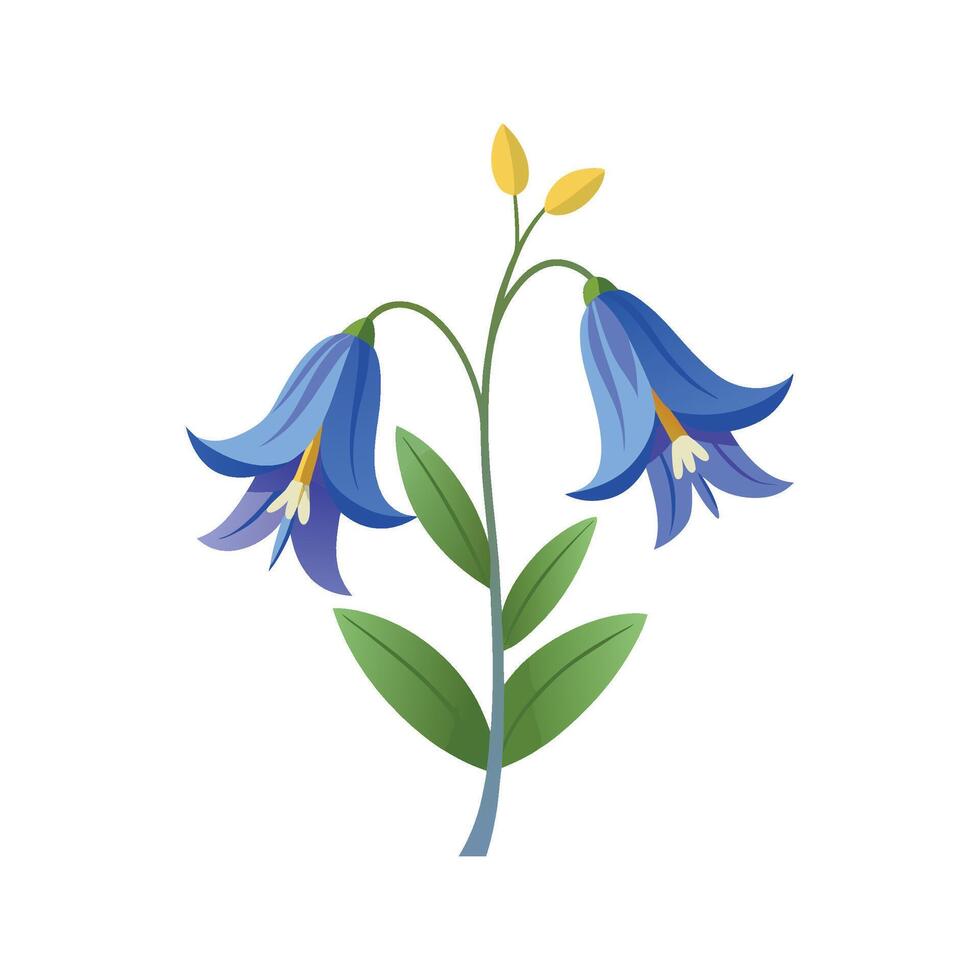Charming Pacific Blue Bell Corydalis for Gardens vector