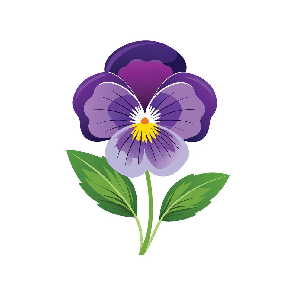 Elegant Pansy Viola Artwork vector