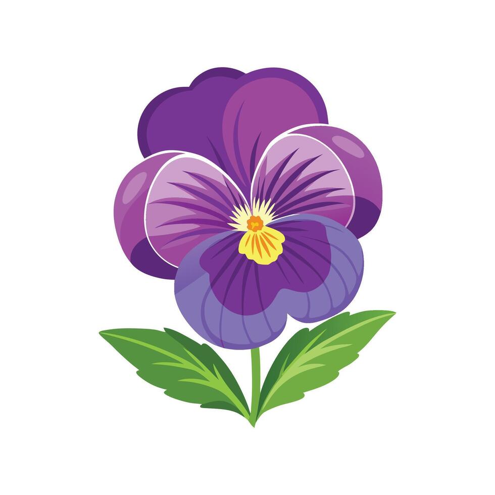 Charming Pansy Viola Plant Artwork vector