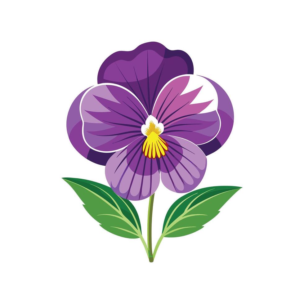 Creative Pansy Viola Plant Art vector