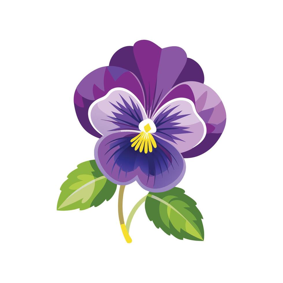 Vibrant Viola Pansy Flower Art vector