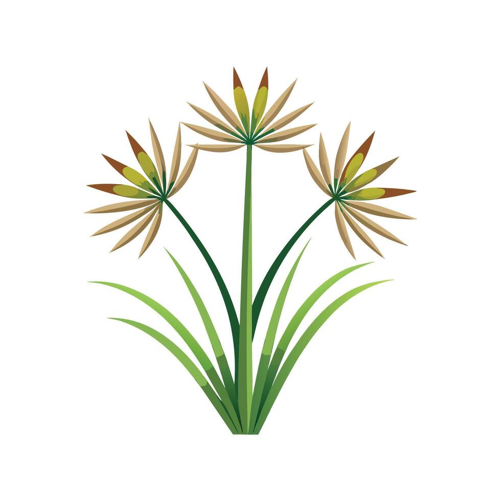 Creative Papyrus Cyperus Artwork vector