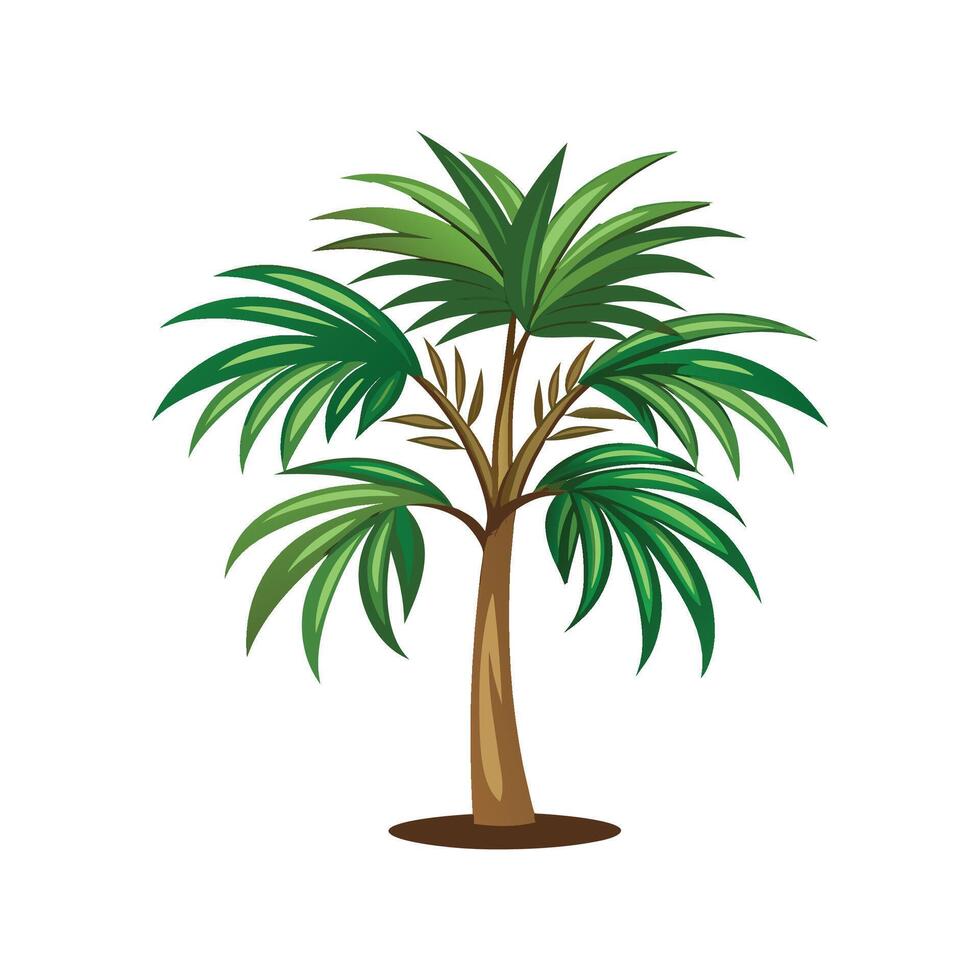 Charming Chamaedorea Palm Artwork vector