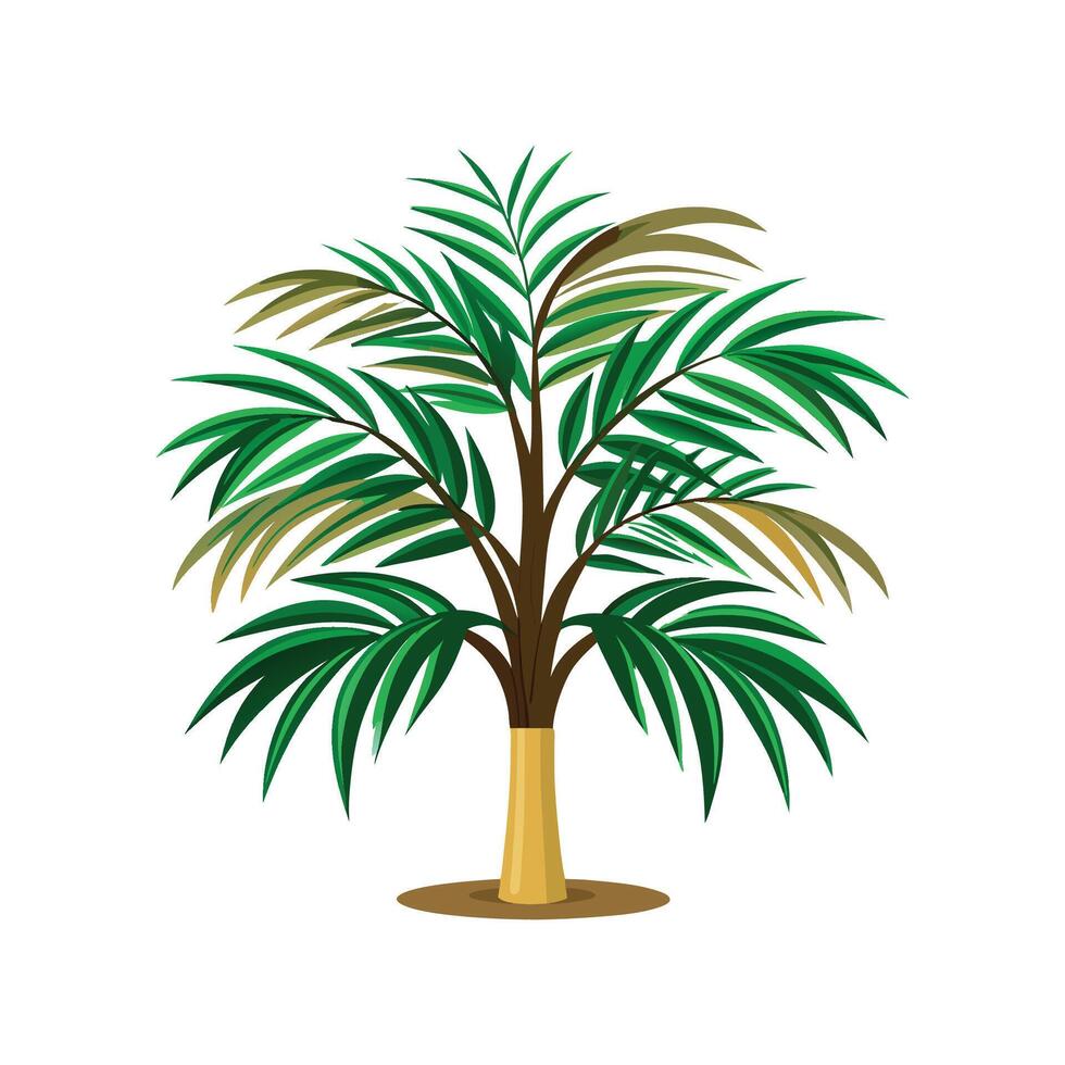Stylish Chamaedorea Palm Artwork vector